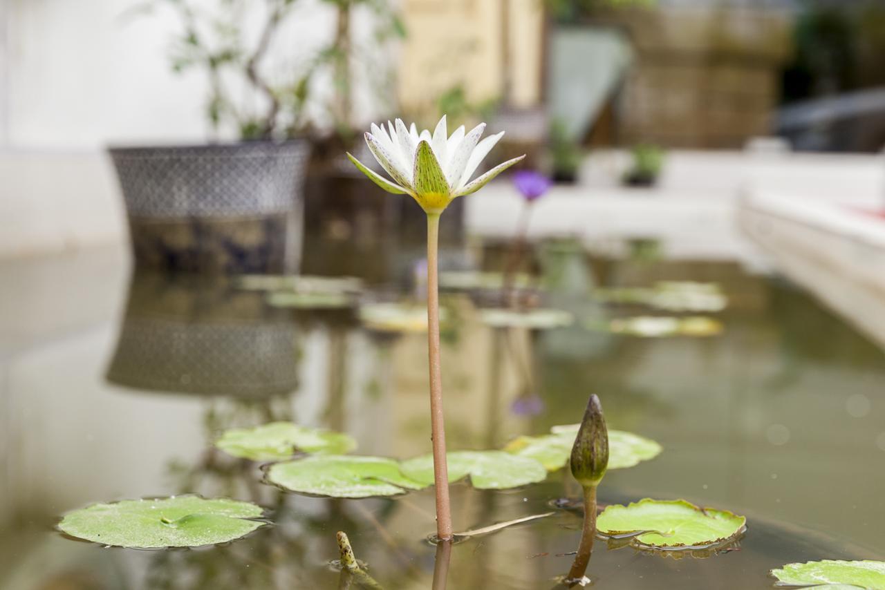 Central Boutique Hotel Vientiane Esterno foto